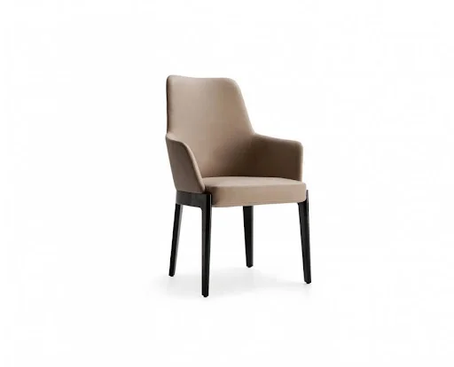 Molteni Dining Chairs